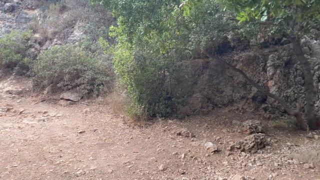 Изучаю Израиль — Haifa national park смотреть онлайн