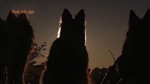 Танцы Минус   Цветут Цветы