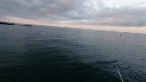 Рыбалка в Сочи (средиземноморский мармир)