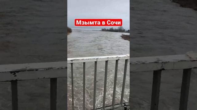 Мзымта в Сочи