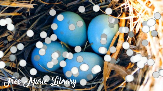 Royalty Free Music Library ♫ Lovely Swindler - Amarià