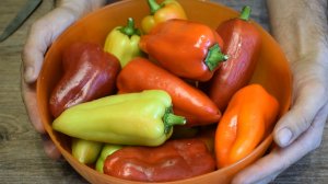 Всего 15 минут и едим всю зиму. Очень просто и вкусно невероятно закуска из перца