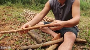Primitive Skills: Land Reclamation fo Grow Cassava!