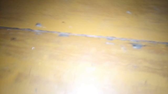 Кот ловит мышь в банке угарного смотреть онлайн