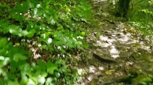 куда сходить в Небуге? Тропа Любви, как добраться.