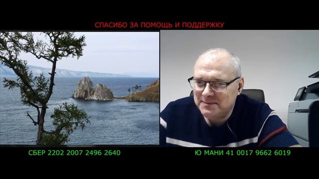 И на камнях растут деревья!