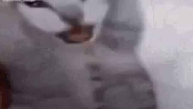 Зима - Chery Tiggo 7 Pro Max, 1,5 л, 2023 года фотография DRIVE2