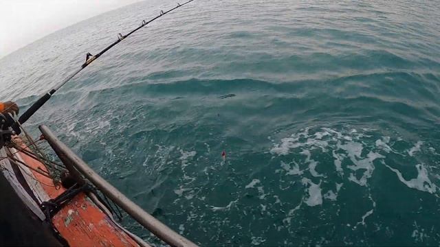 Морская Рыбалка Паттайя 2020