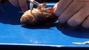 Рыбалка на Черном море с берега что я поймал.