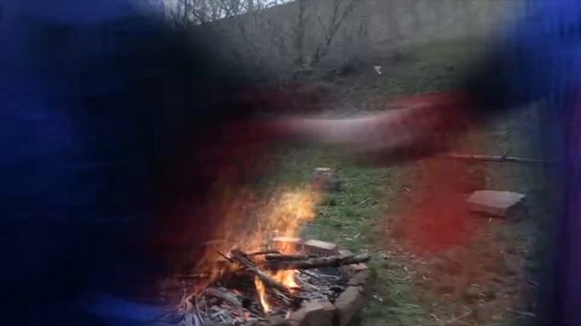 ВЕСЕЛЫЕ ГРИБОЧКИ смотреть онлайн