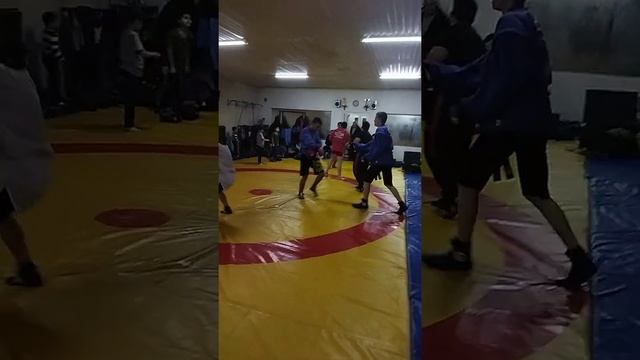 #боевоесамбо #армейскийрукопашныйбой  тренеровка #спаринги