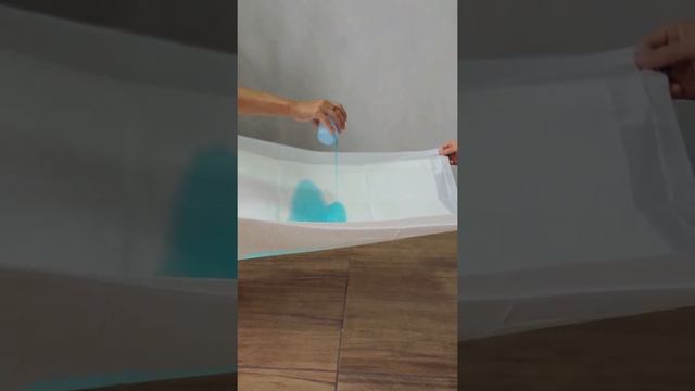 " Teste de Qualidade do Tapete Higiênico para cachorro PetDuka Lavanda 60x80cm"