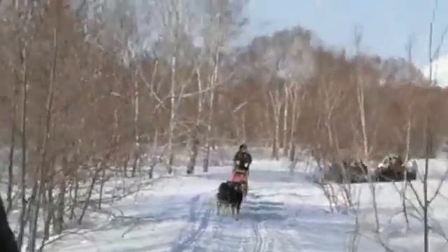 WhatsApp Video 2017 04 12 at 11 55 57 смотреть онлайн