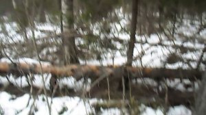 Не выбрасывайте старый хлеб