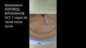 Кремовалка "Хоровод Витаминов НСТ-1"
