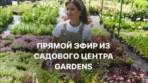 КАК ВЫБРАТЬ ТУЮ? 5 ПРИЗНАКОВ ХОРОШЕЙ ТУИ.