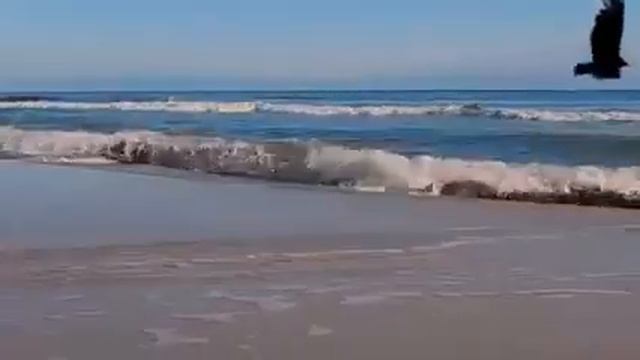 26 июня 2022 г. смотреть онлайн