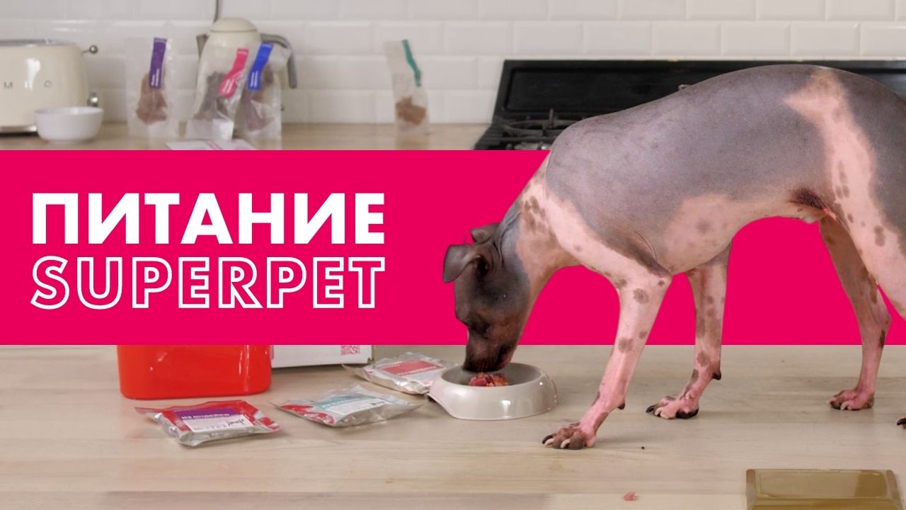 Что внутри? Распаковка набора BARF питание SUPERPET для кошек и собак