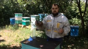 Как избавится от ос и шершней на пасеке? Ловушки для ос. Предупреждаем нападение ос на пчел