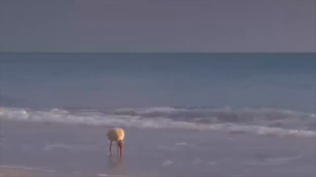 Аффирмации перед сном и на каждый день смотреть онлайн