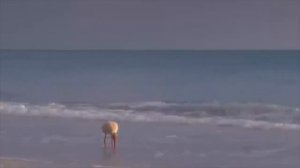 Аффирмации перед сном и на каждый день