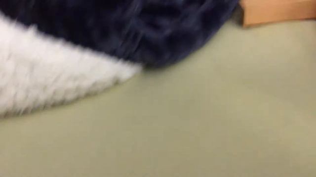 Angry birds toons season 1 episode 22 red’s amnesia смотреть онлайн