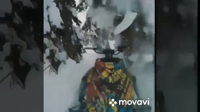 Врезался в дерево со снегохода смотреть онлайн