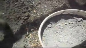 Новый способ посадки огурцов  Посадочные ямы