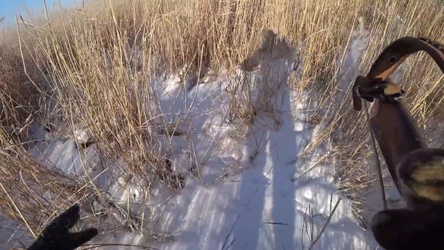 Охота на зайца - Камышовый профессор! смотреть онлайн