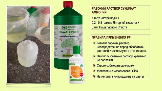 # 133 Как ПРАВИЛЬНО КОРМИТЬ удобрять стимулировать домашние ОРХИДЕИ #ОрхидеиДляНачинающих