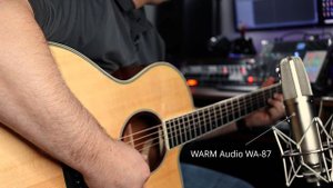 Trumon Acoustic Guitar Review
