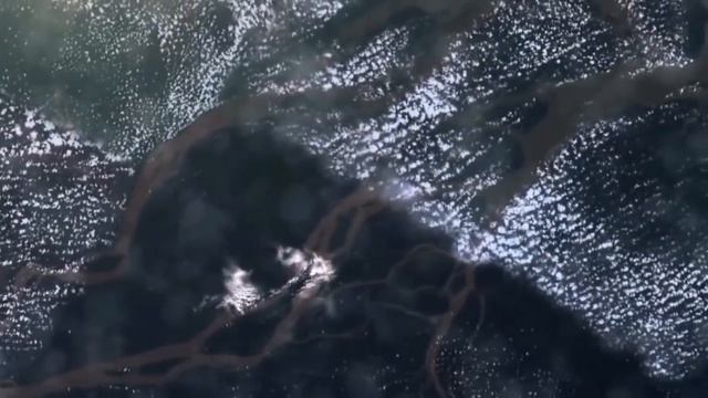Как могут выглядеть существа с других планет ?