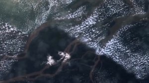 Как могут выглядеть существа с других планет ?