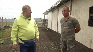 Сколько стоит индюк? Фермер о выращивании птиц