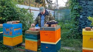 ? Пчёлы не запечатали рамки с сиропом? - Выход есть! ?