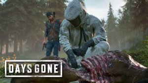 О’Брайн ЖИВ, А ЗНАЧИТ...► DAYS GONE #10► ПРОХОЖДЕНИЕ