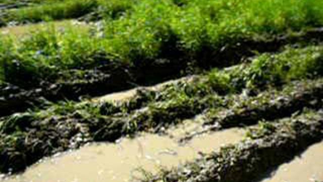 соскино6 смотреть онлайн