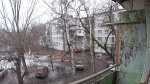 Веселые соседи