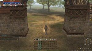 Lineage 2 Essence.online Духи стихий/Пропуск/Кач/Фарм адены
