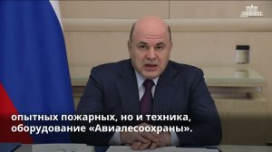 Правительство скорректировало нормативную базу для повышения эффективности охраны лесов 2023