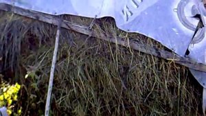 Сколько сена надо козе