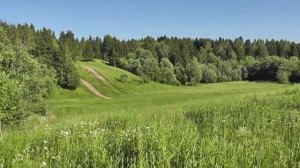 Как справиться с трудной ситуацией в жизни