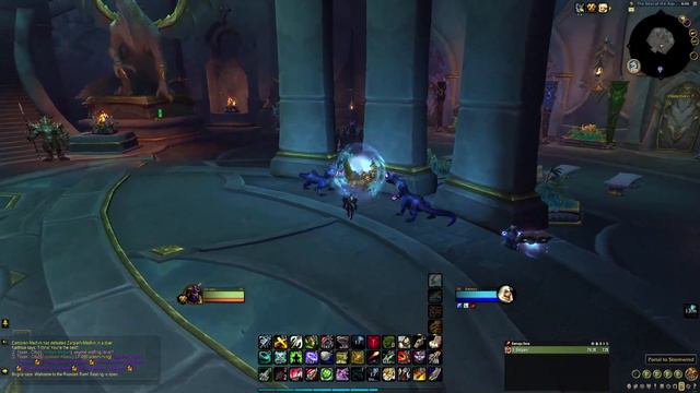 How to get previous PVP Gladiator Transmog Sets in Dragon Flight guide! World of Warcraft. смотреть онлайн