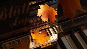 Здравствуй осень,  мы тебя попросим