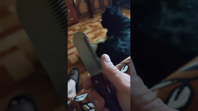 Инструменты для триминга Ризеншнауцера смотреть онлайн