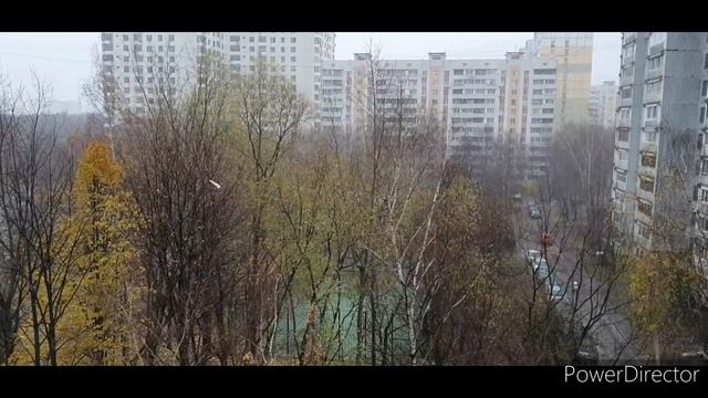 первый снег? ноябрь 2020\first snow? november 2020 смотреть онлайн