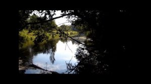 Чистая речка