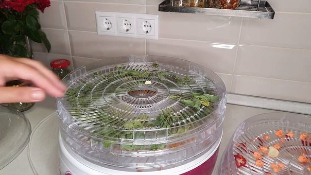 Приправа на зиму с бархатцами - авторский рецепт от Нины К