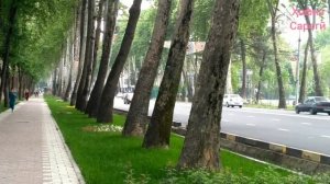 Хиёбони Рӯдакӣ  ш. Душанбе / Проспект Рудаки  г. Душанбе. (22 апрель 2019г)