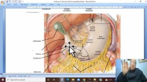 Anatomy GIT Module in English ( Stomach , part 1  ) ,  by Wahdan